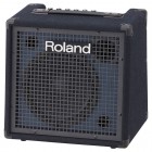 Комбоусилитель для клавишных ROLAND KC-80 Комбоусилитель для клавишных ROLAND KC-80